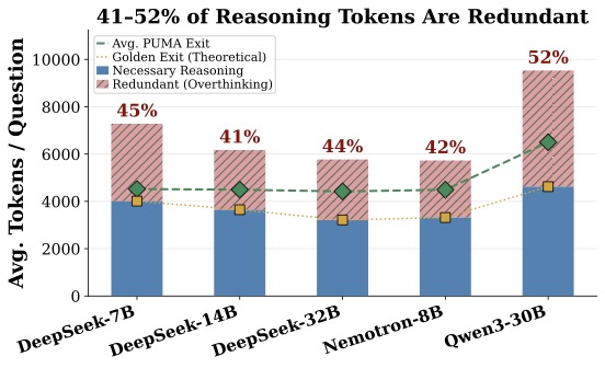 图1：五个主流推理模型的过度思考分析——浪费的 token 占比从 41% 到 52% 不等