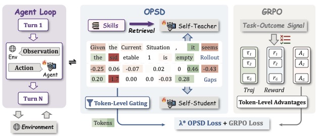 SDAR 框架图：左侧是多轮 Agent Loop，中间是 OPSD 分支（Self-Teacher 看到 Skills 的检索内容，Self-Student 看不到，两者算出 token 级 gap 通过 Token-Level Gating 调制 OPSD Loss），右侧是 GRPO 分支算 token-level advantage。最终两个 loss 加权求和