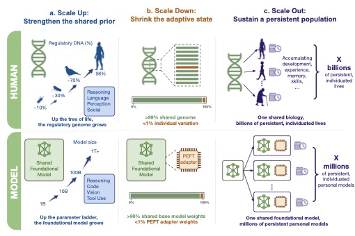 图1：PEFT 三轴缩放的生物学类比。Scale Up 对应"复杂生物有更多调控 DNA"，Scale Down 对应"个体差异不到 1%"，Scale Out 对应"一份共享生物学支撑数十亿持久个体"。