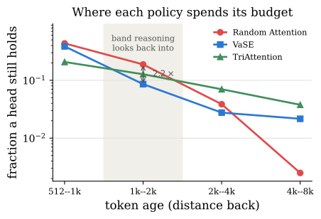 图4:各策略的预算花在哪个 token 年龄段